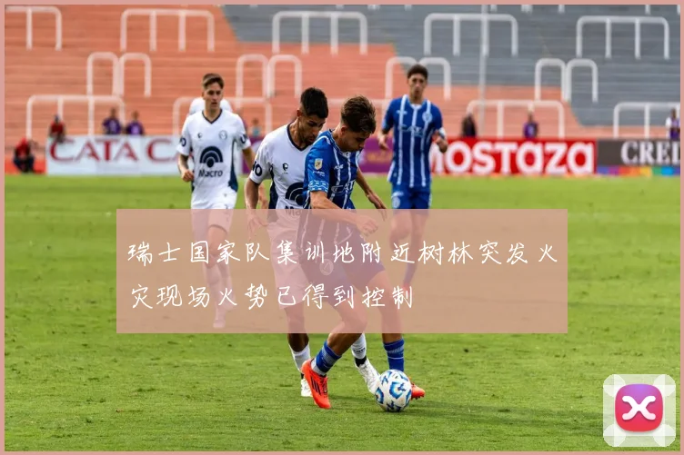 瑞士国家队集训地附近树林突发火灾现场火势已得到控制